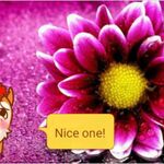 Dinesh  - kik username