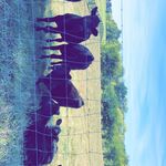 jerry - snapchat username