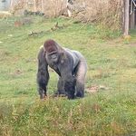 Hunter - snapchat username