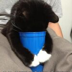 dragonkeeperx - snapchat username