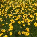 Deleted - kik username