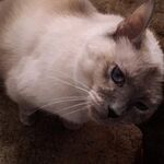 kyle Nathaniel - snapchat username