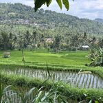 Piet - telegram username