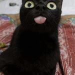 lauuu_rennn - snapchat username