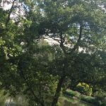 David - snapchat username