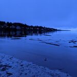 Adjoe - snapchat username