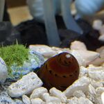 randombuhnny - snapchat username