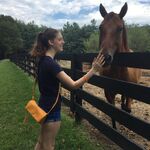 Mozart.dvorak - instagram username