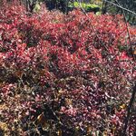 Suckweeeweee - snapchat username