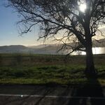 Wealthybp - kik username