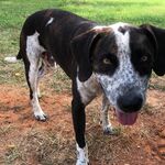 Austin  - snapchat username