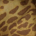 Bobby12ty - kik username