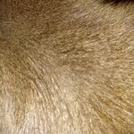 Hieveryone - snapchat username