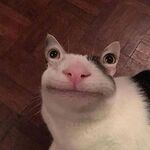 ebolaidsv1 - snapchat username