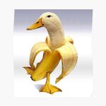 grayson_op22 - snapchat username