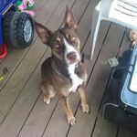 Tylerk - snapchat username