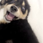 Chris_bumst2020 - snapchat username