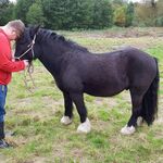 Bradster105 - kik username