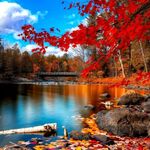 siphosethu - instagram username