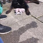 Caitlin deblinv - snapchat username