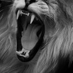 dania - snapchat username