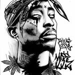 Notorius - kik username