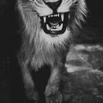 Savageboyy_1 - instagram username