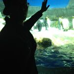 live:.cid.214ac24b6689091a - snapchat username