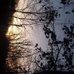 Papajong77 - kik username