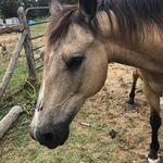 Guesswat1234 - kik username