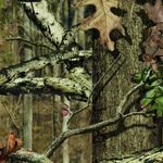 BigCountry - kik username