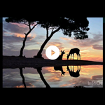 kadar22 - kik username