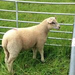 Hazzer23124 - snapchat username