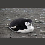 braebrae77 - instagram username