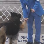 Twojo9 - instagram username