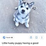 ZK - snapchat username