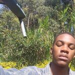 Lincoln - instagram username