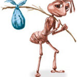 Plm - snapchat username