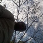 KALEEM - kik username