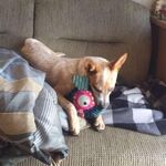 Illsendnude420 - snapchat username