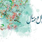 Zana383 - instagram username