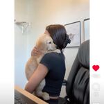 nishika - twitch username