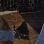 Daddy - kik username