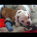 Regan.wright219 - snapchat username