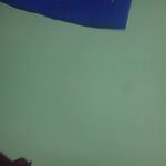 Puttu - kik username