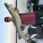 Dylan  - kik username