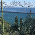 Mr man - snapchat username