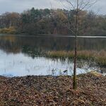 Jamier123 - snapchat username