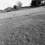 Tarek - kik username