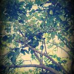 lolipop - kik username